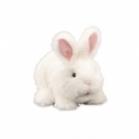 Vivid Кузя - мой забавный кролик