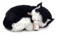 Perfect Petzzz Черно-белая короткошерстная кошка